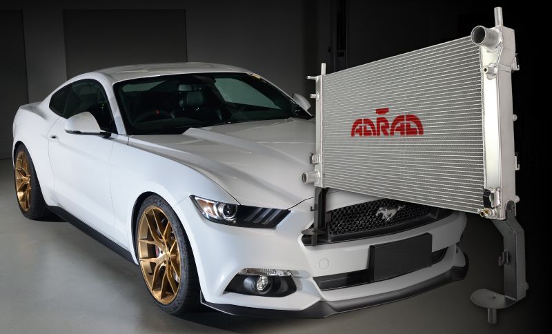 FM-Mustang-Turbo-BLOG-POST.jpg